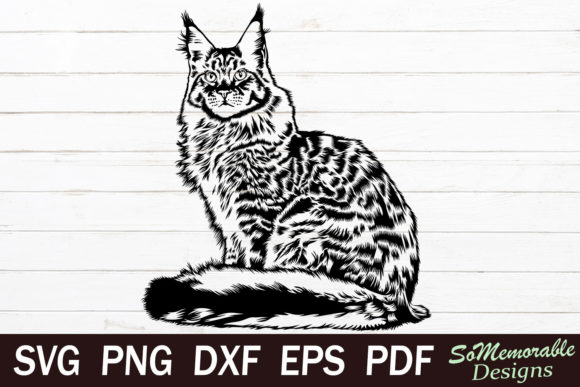 Main Coon Cat Embroidery Design Review